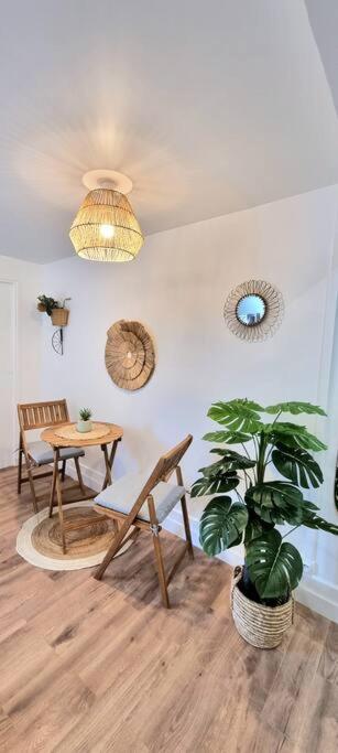 Le Boheme - Hypercentre - Wifi Apartman Toulouse Kültér fotó